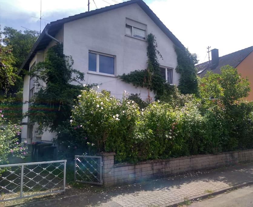 Ruhige 4-zi-wohnung Mit Grossem Balkon Und Blick Ins Gruene Karlsruhe