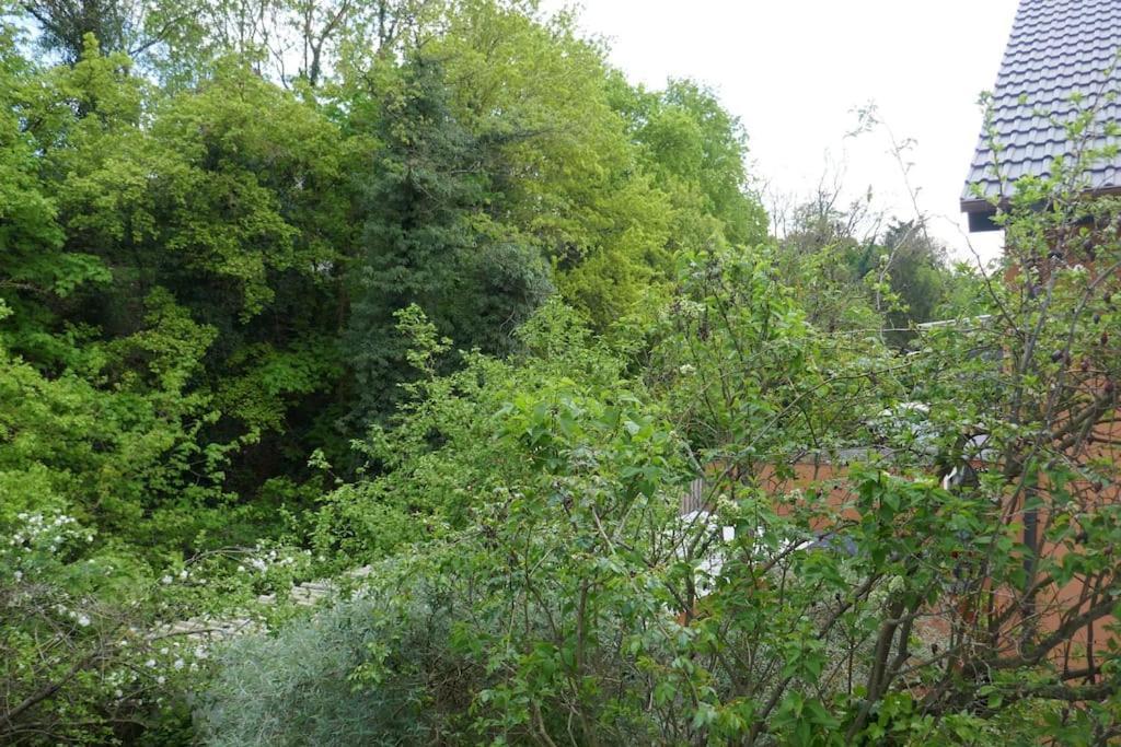 Apartment Ruhige 4-zi-wohnung Mit Grossem Balkon Und Blick Ins Gruene