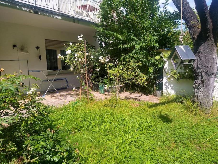 Ruhige 4-zi-wohnung Mit Grossem Balkon Und Blick Ins Gruene Apartment