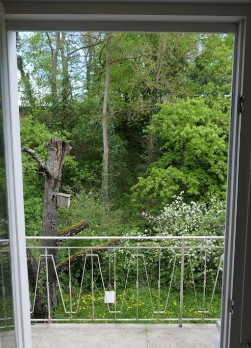 Ruhige 4-zi-wohnung Mit Grossem Balkon Und Blick Ins Gruene