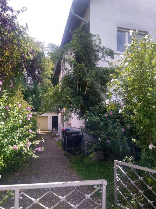 Ruhige 4-zi-wohnung Mit Grossem Balkon Und Blick Ins Gruene Apartment