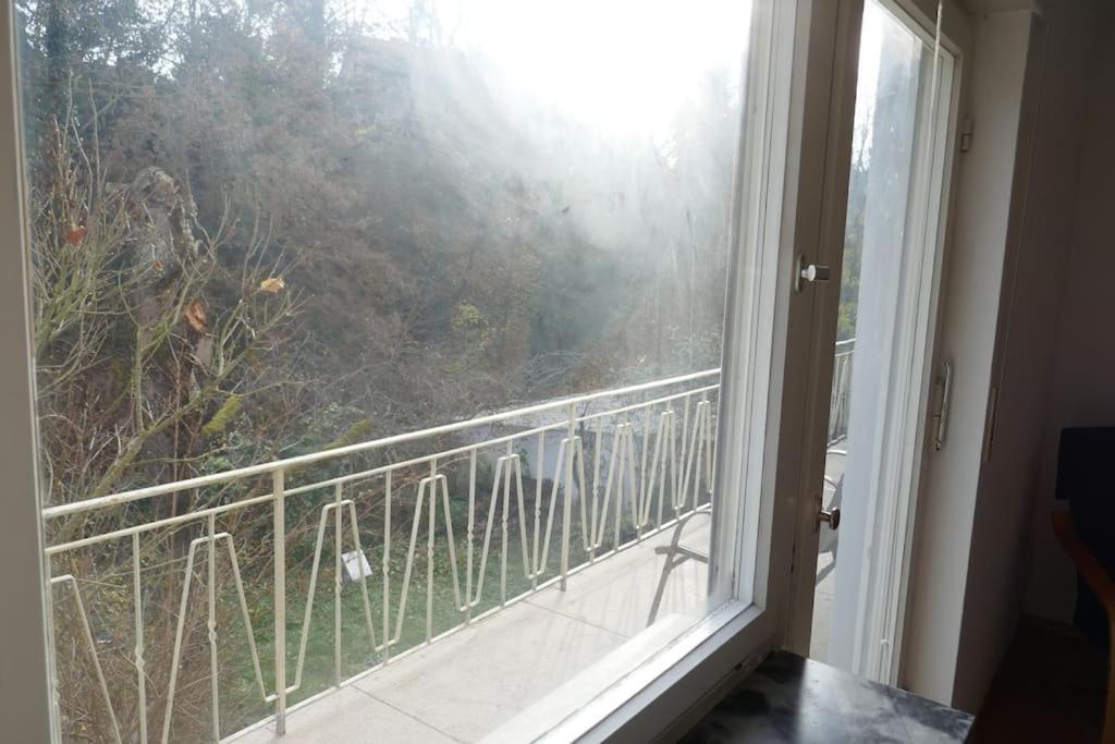 Ruhige 4-zi-wohnung Mit Grossem Balkon Und Blick Ins Gruene Apartment *