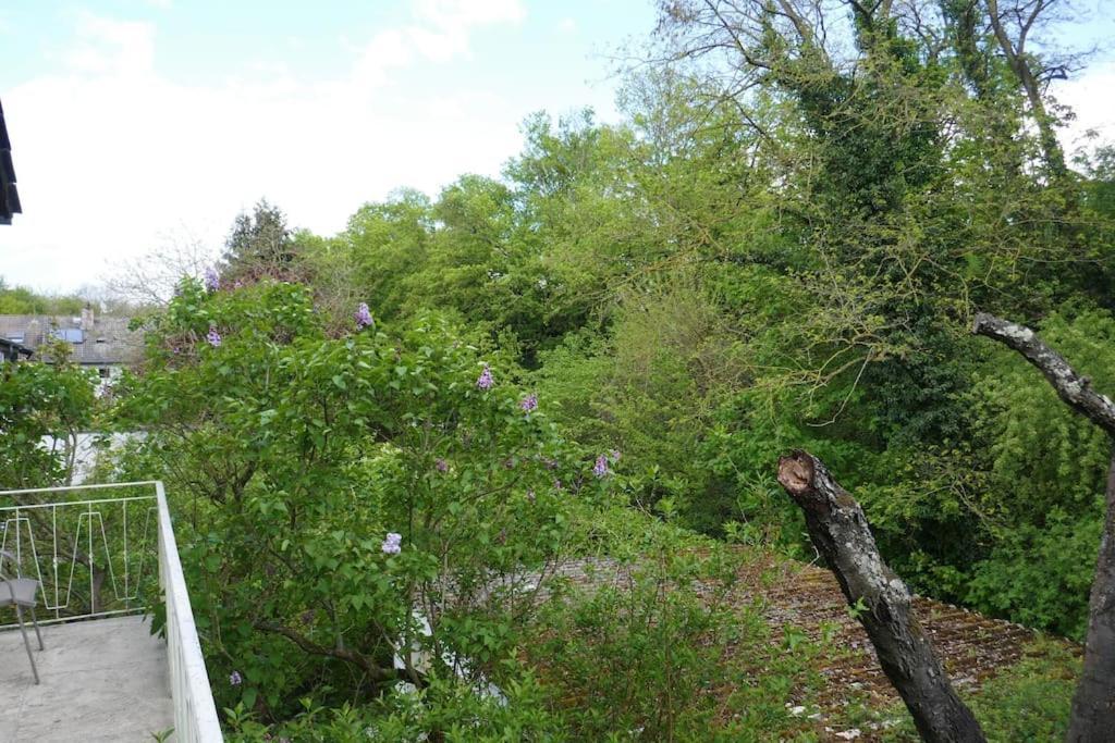 Apartment Ruhige 4-zi-wohnung Mit Grossem Balkon Und Blick Ins Gruene *